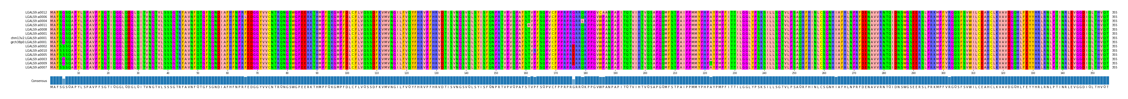Multiple Alignments (by translate haplotype similarity)