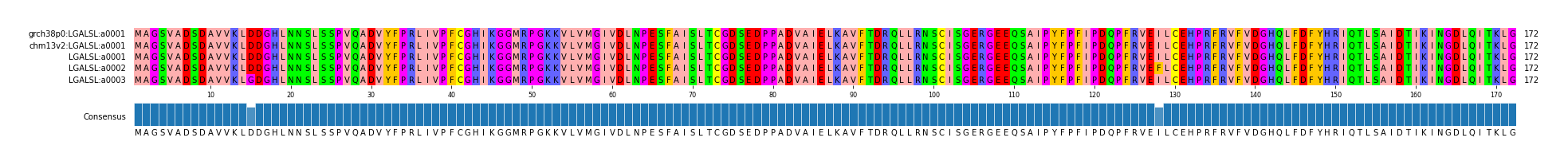 Multiple Alignments (by translate haplotype frequency)