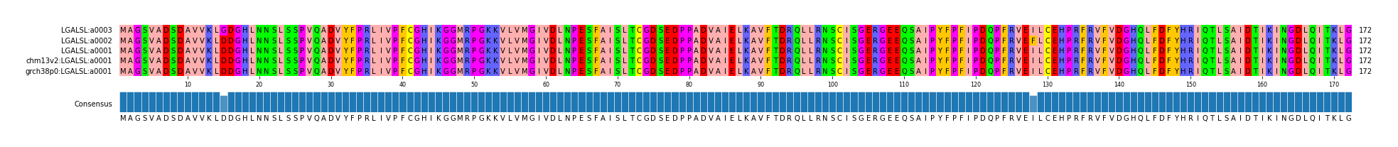 Multiple Alignments (by translate haplotype similarity)