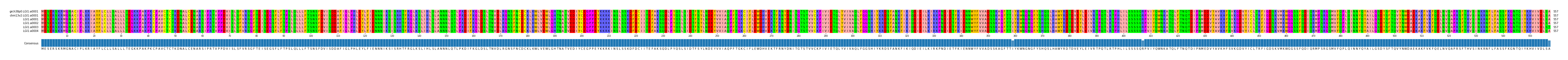 Multiple Alignments (by translate haplotype frequency)