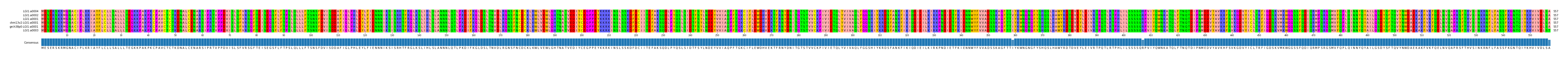 Multiple Alignments (by translate haplotype similarity)