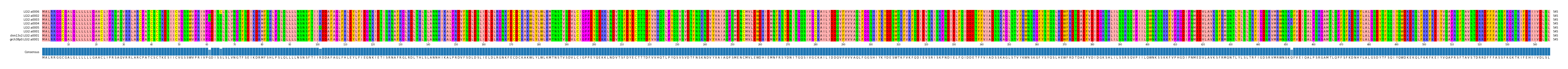 Multiple Alignments (by translate haplotype similarity)