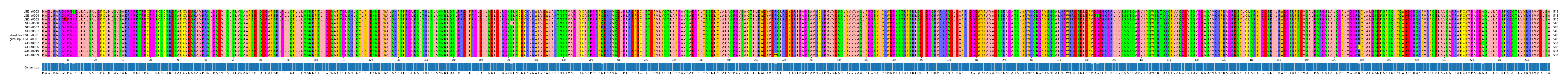 Multiple Alignments (by translate haplotype similarity)