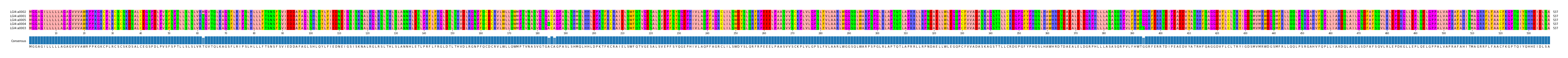 Multiple Alignments (by translate haplotype similarity)
