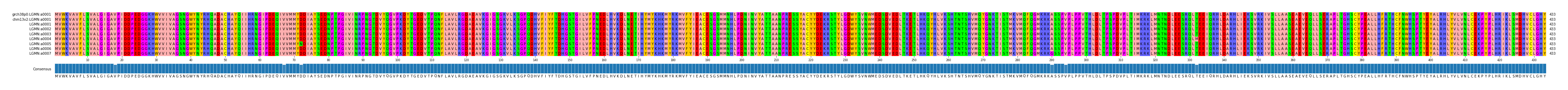 Multiple Alignments (by translate haplotype frequency)