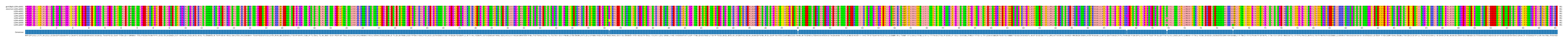 Multiple Alignments (by translate haplotype frequency)