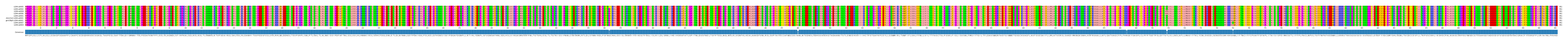 Multiple Alignments (by translate haplotype similarity)