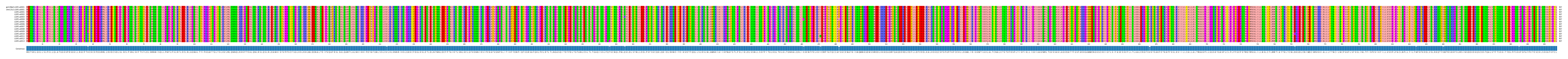 Multiple Alignments (by translate haplotype frequency)