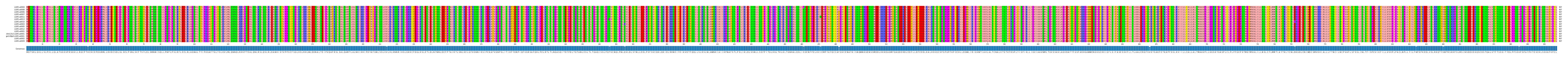 Multiple Alignments (by translate haplotype similarity)