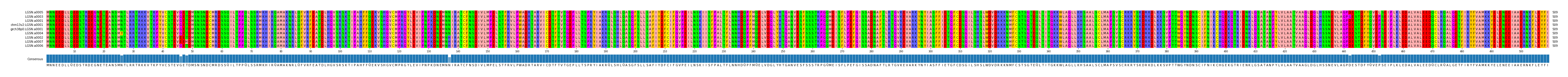 Multiple Alignments (by translate haplotype similarity)