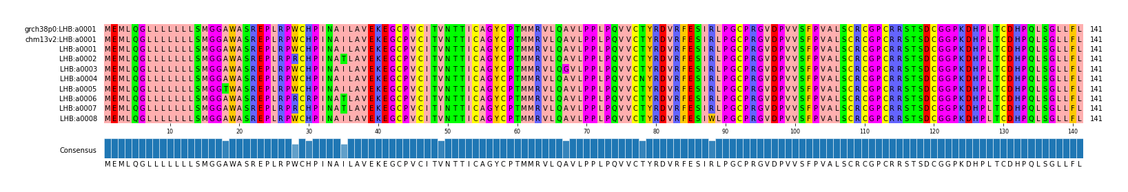 Multiple Alignments (by translate haplotype frequency)