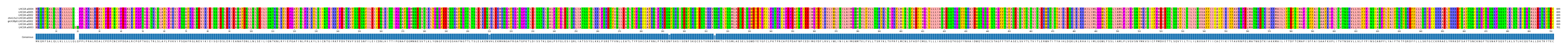 Multiple Alignments (by translate haplotype similarity)