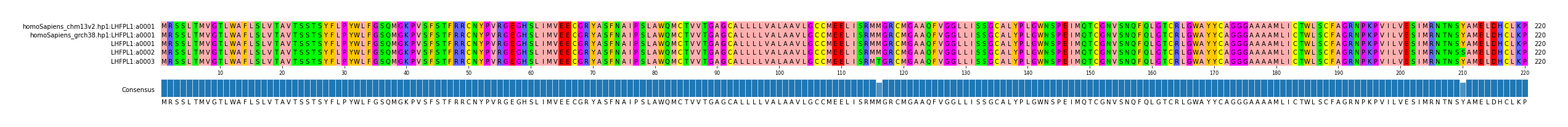 Multiple Alignments (by translate haplotype frequency)