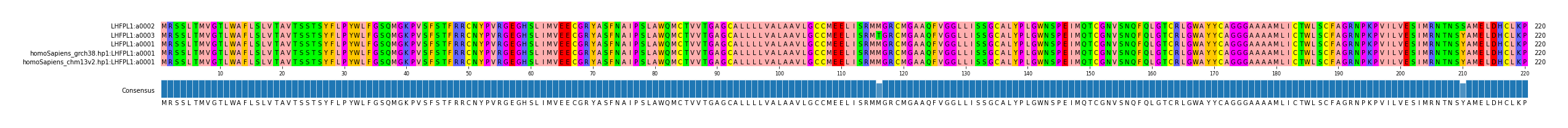 Multiple Alignments (by translate haplotype similarity)