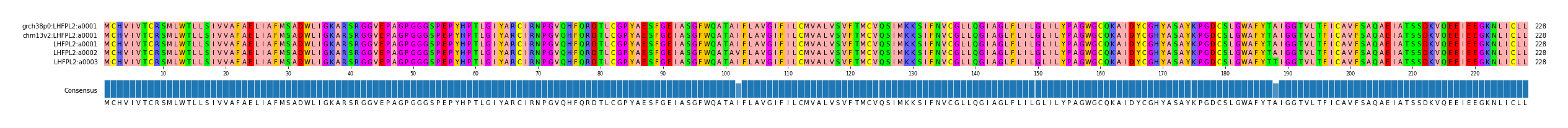 Multiple Alignments (by translate haplotype frequency)