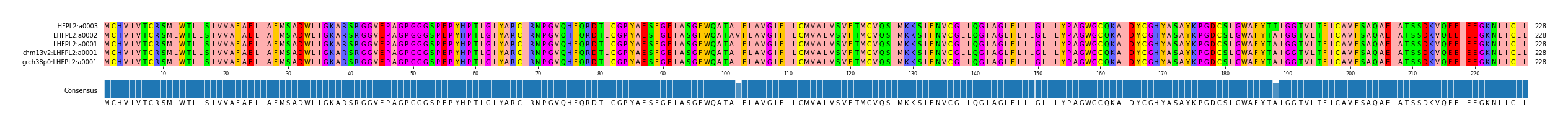 Multiple Alignments (by translate haplotype similarity)