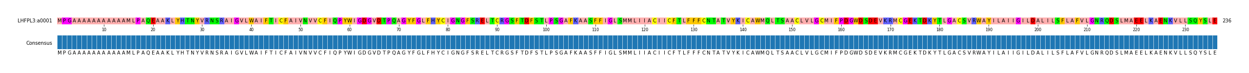 Multiple Alignments (by translate haplotype similarity)