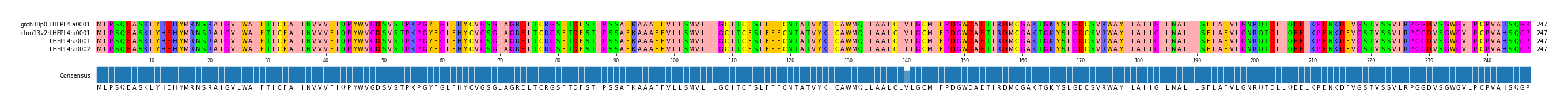 Multiple Alignments (by translate haplotype similarity)