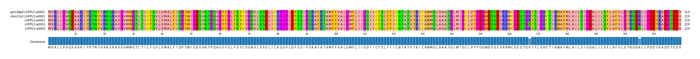 Multiple Alignments (by translate haplotype frequency)