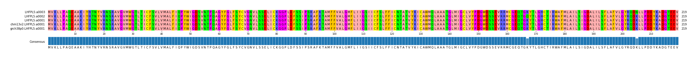 Multiple Alignments (by translate haplotype similarity)
