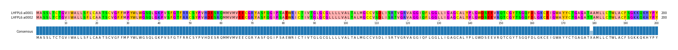 Multiple Alignments (by translate haplotype frequency)