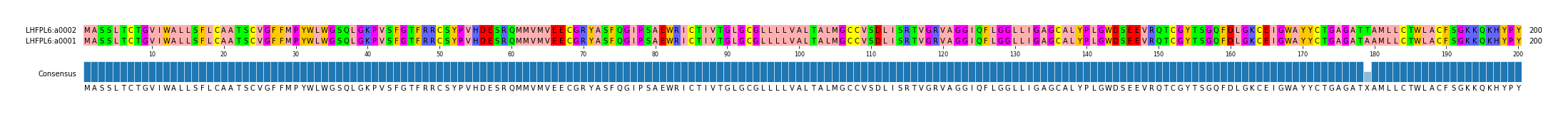 Multiple Alignments (by translate haplotype similarity)