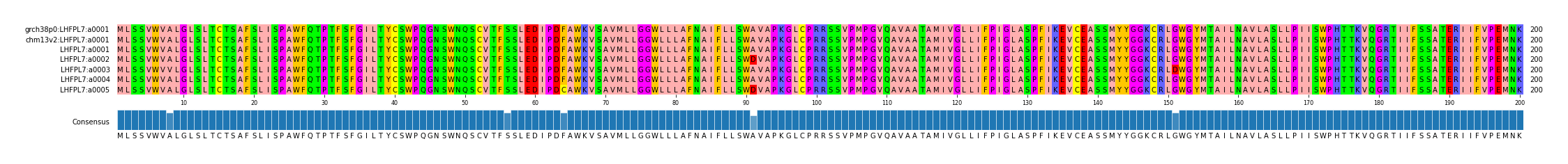 Multiple Alignments (by translate haplotype frequency)