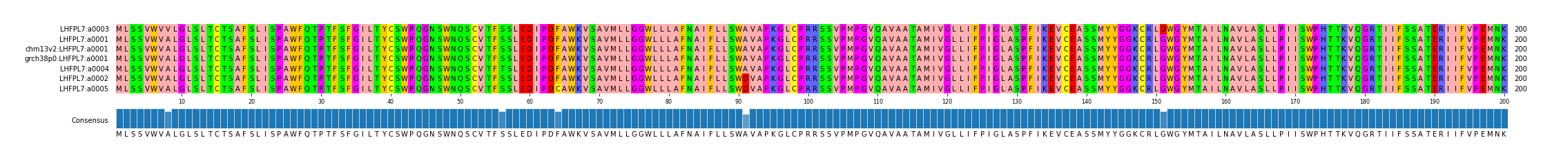 Multiple Alignments (by translate haplotype similarity)