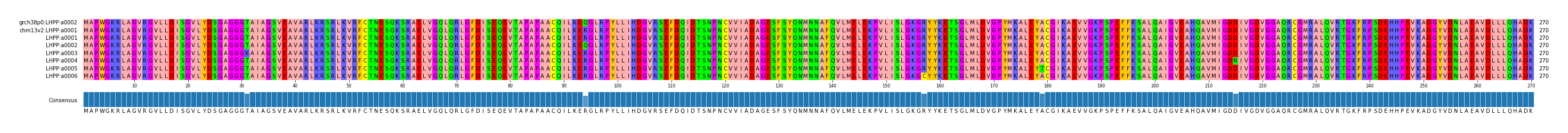 Multiple Alignments (by translate haplotype frequency)