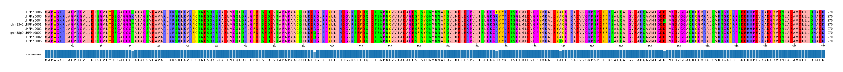 Multiple Alignments (by translate haplotype similarity)