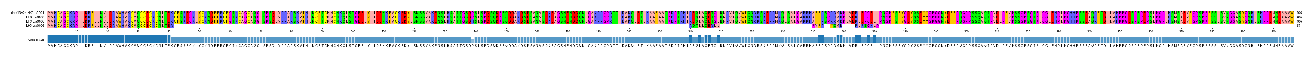 Multiple Alignments (by translate haplotype similarity)