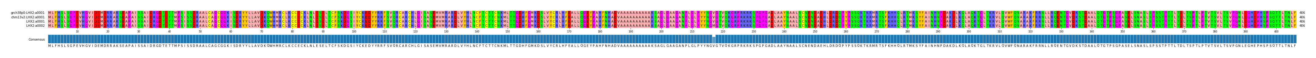 Multiple Alignments (by translate haplotype similarity)