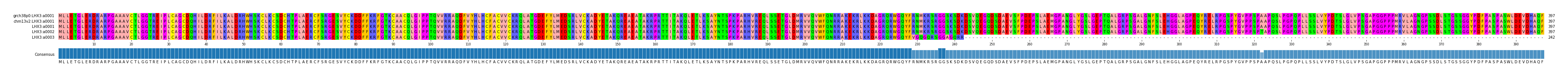 Multiple Alignments (by translate haplotype similarity)