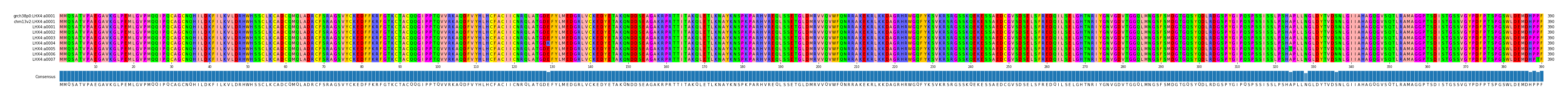 Multiple Alignments (by translate haplotype frequency)
