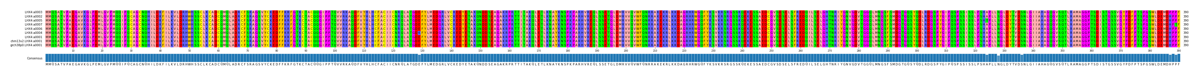 Multiple Alignments (by translate haplotype similarity)