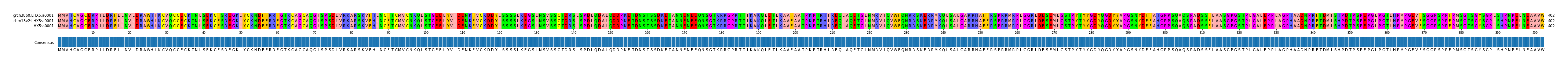 Multiple Alignments (by translate haplotype similarity)