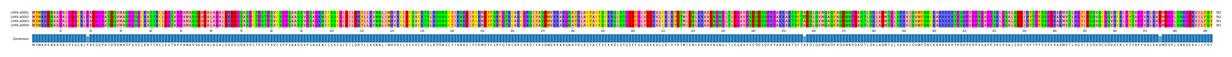 Multiple Alignments (by translate haplotype frequency)
