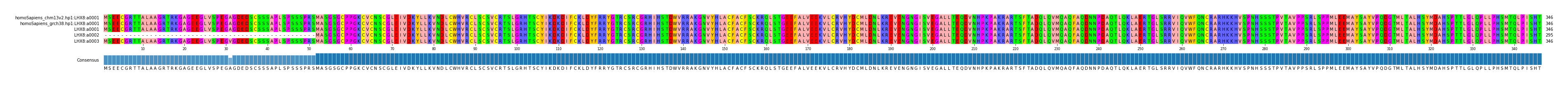 LD (by translate haplotype similarity)
