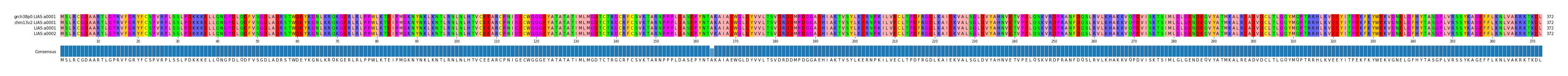 Multiple Alignments (by translate haplotype similarity)