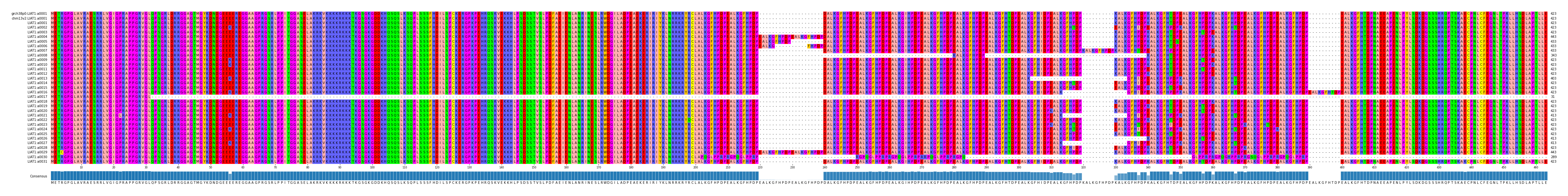 Multiple Alignments (by translate haplotype frequency)