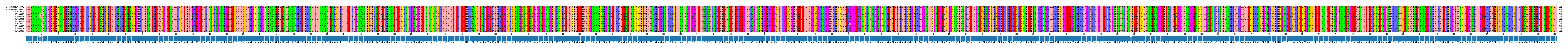 Multiple Alignments (by translate haplotype frequency)