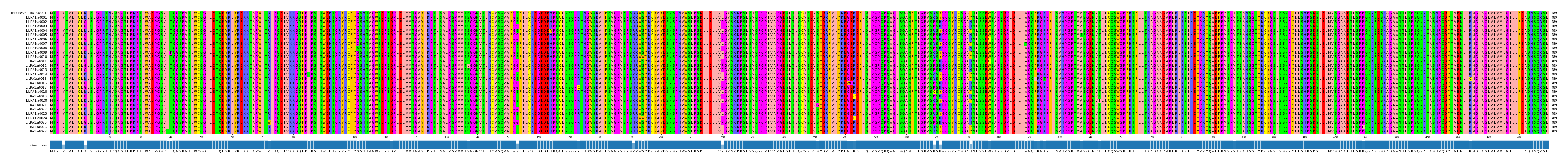 Multiple Alignments (by translate haplotype frequency)