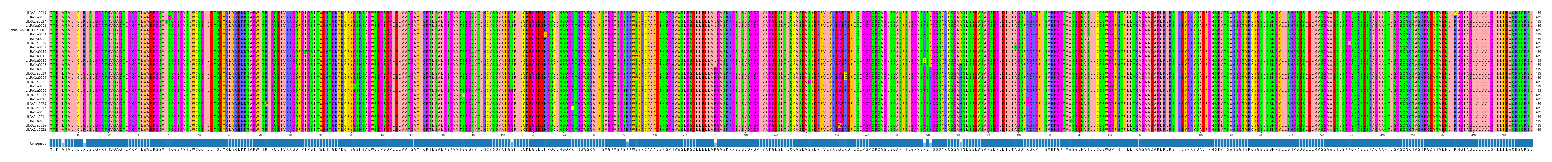 Multiple Alignments (by translate haplotype similarity)