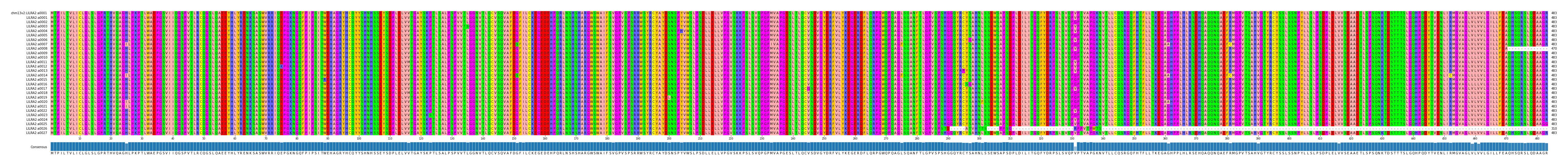 Multiple Alignments (by translate haplotype frequency)