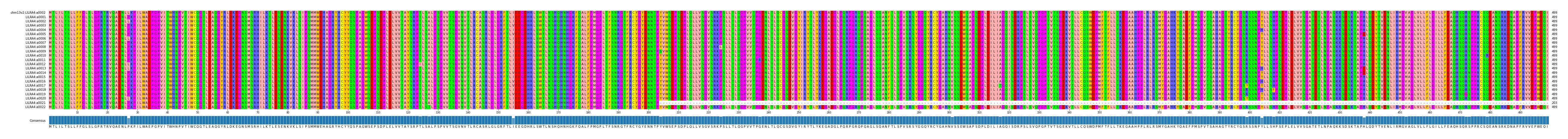 Multiple Alignments (by translate haplotype frequency)
