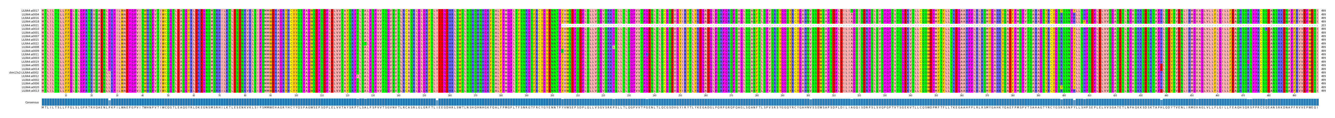 Multiple Alignments (by translate haplotype similarity)