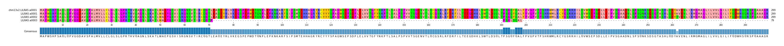Multiple Alignments (by translate haplotype similarity)
