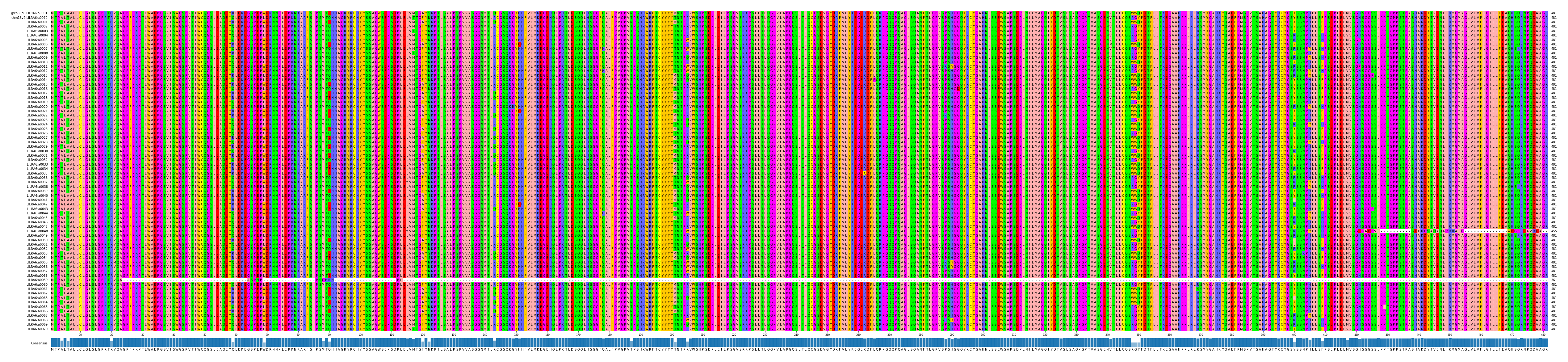 Multiple Alignments (by translate haplotype frequency)