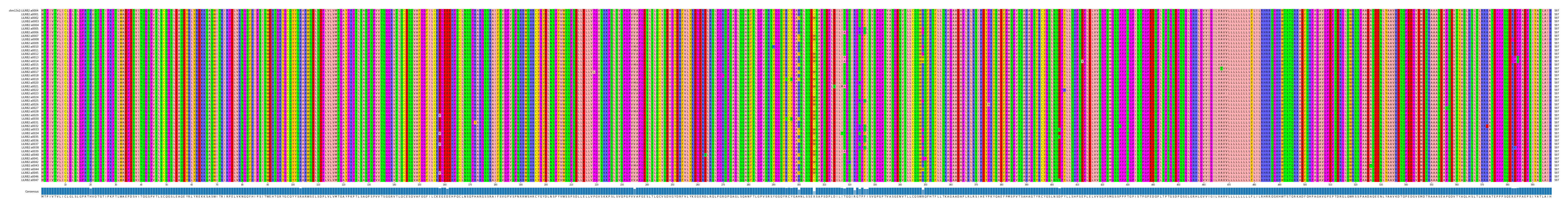 Multiple Alignments (by translate haplotype frequency)