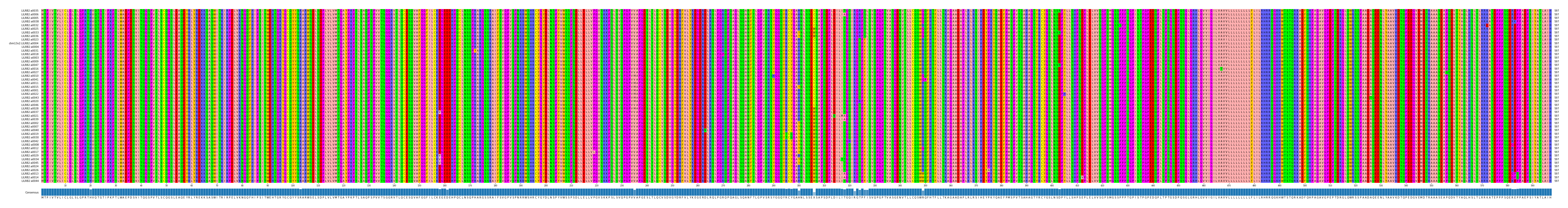 Multiple Alignments (by translate haplotype similarity)
